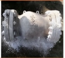 Cryogenic Axial Flow Check Valve