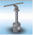 Cryogenic Floating Ball Valve （Top Entry）